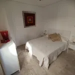 Centro Ciudad - Apartamento Alicia
